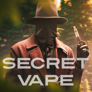 Secret Vape – интернет магазин вейпов с ТГК